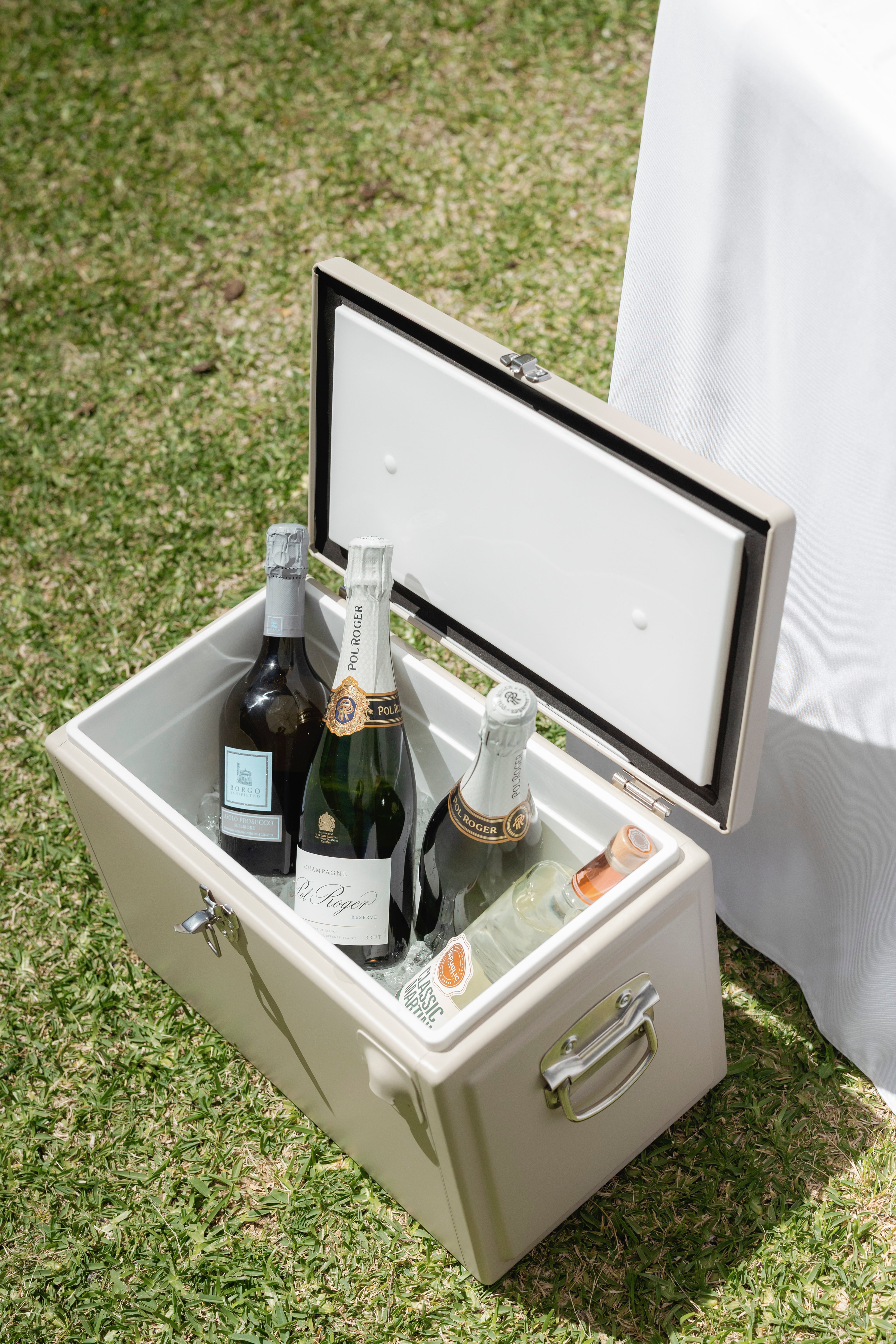 Large Ice Cooler Esky