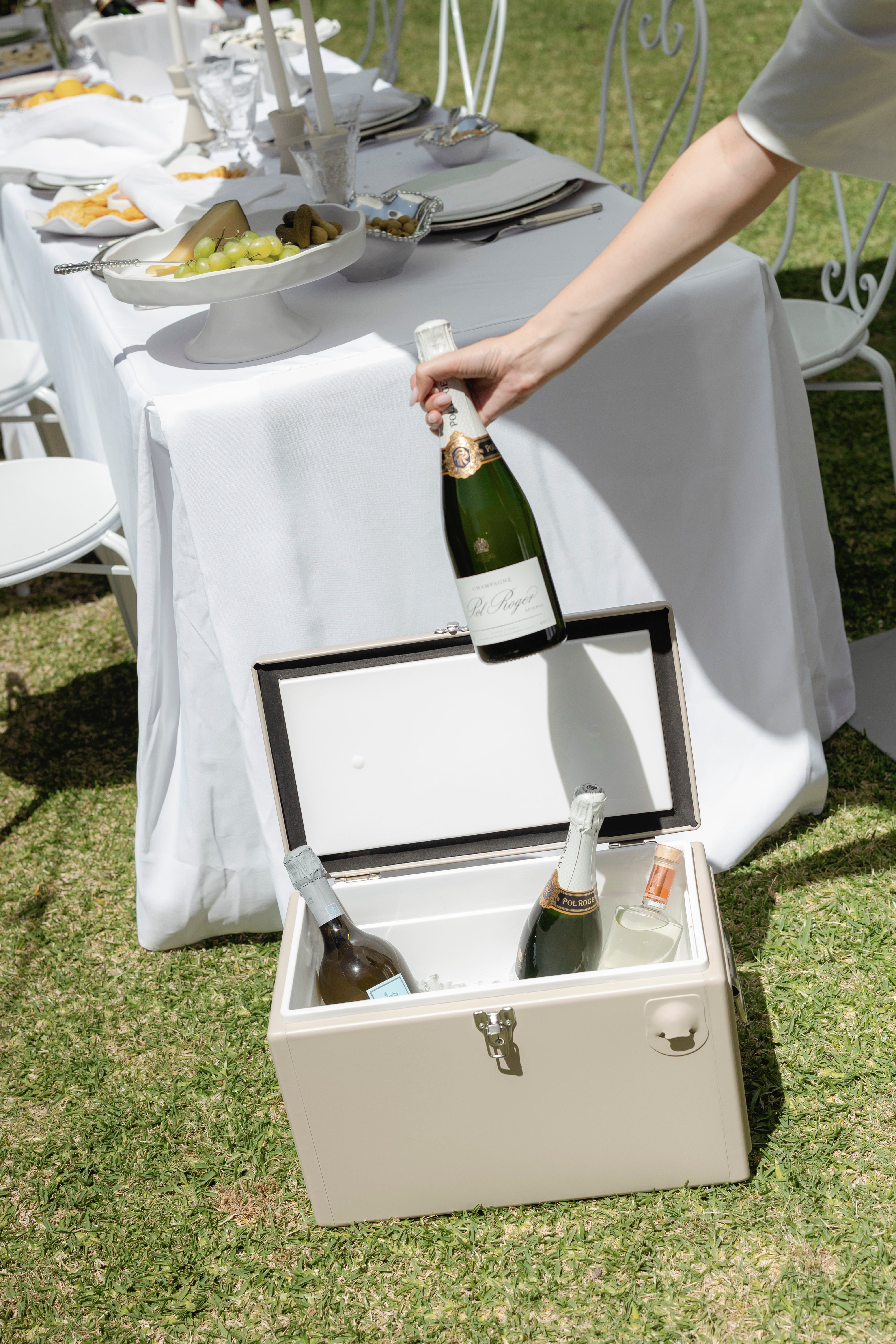 Large Ice Cooler Esky